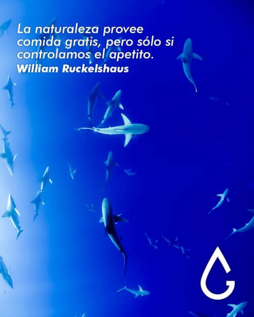 La naturaleza provee comida gratis, pero sólo si controlamos el apetito.