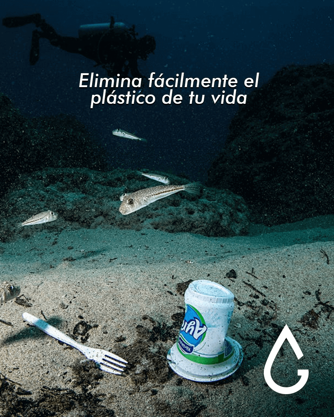 Elimina fácilmente el plástico de tu vida.