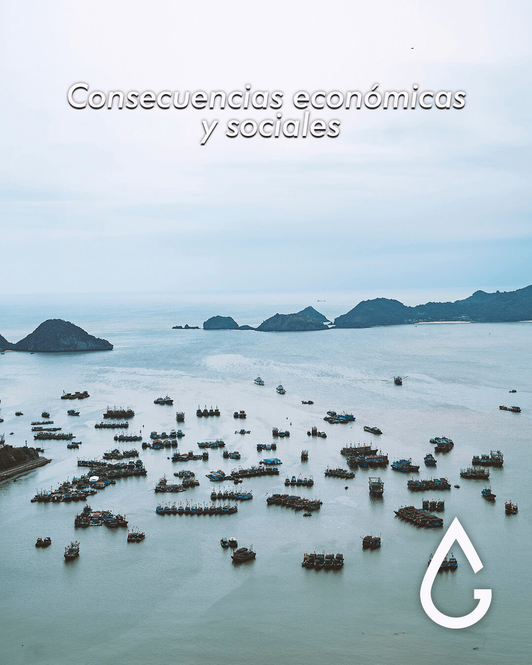 Consecuencias económicas y sociales